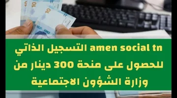 التسجيل في منحة 300 دينار تونس 2024 عبر موقع وزارة الشؤون الاجتماعية